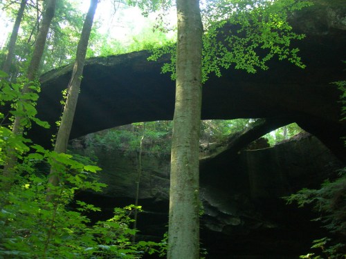 A natural rock arch surrounded by lush green trees in a forested area. Sunlight filters through the foliage.