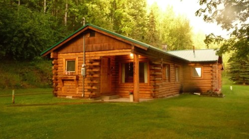 A cozy log cabin surrounded by lush greenery and trees, featuring a green roof and a well-maintained lawn.