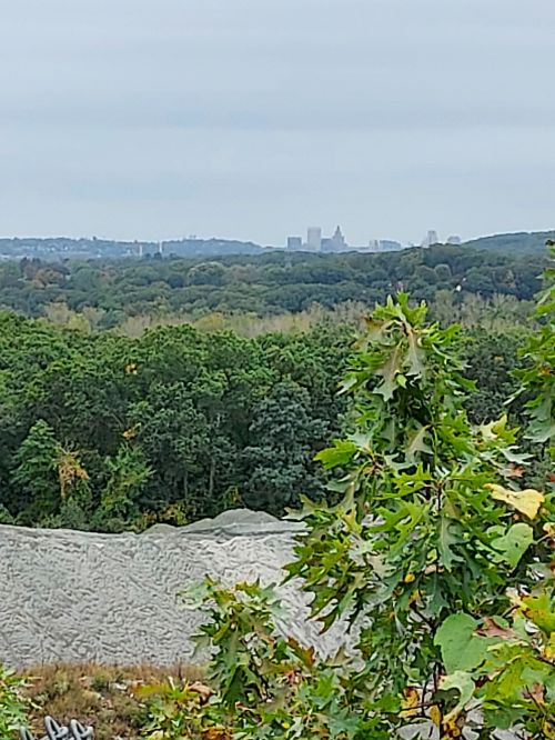A panoramic view of a green landscape with distant city skyline under a cloudy sky.