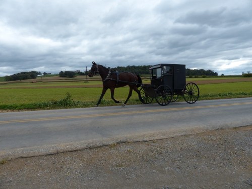 A horse-drawn buggy travels along a rural road, with fields and cloudy skies in the background.