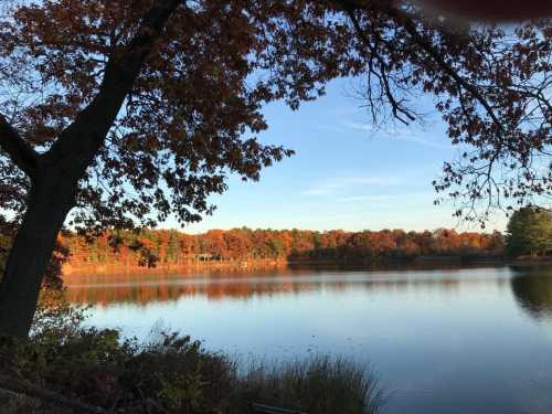 A serene lake surrounded by trees with vibrant autumn foliage under a clear blue sky.