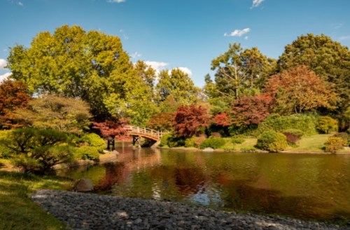 A serene park scene featuring a wooden bridge over a calm pond, surrounded by vibrant trees and colorful foliage.