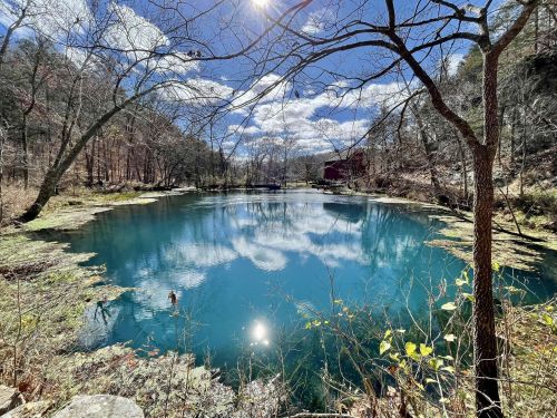 A serene blue pond surrounded by trees and reflecting clouds under a bright sky.