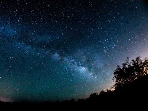 A starry night sky featuring the Milky Way, with silhouettes of trees in the foreground.