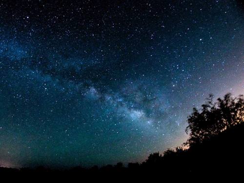 A starry night sky featuring the Milky Way, with silhouettes of trees in the foreground.