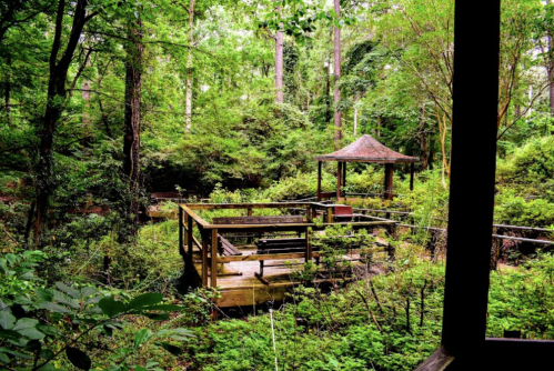 A serene wooden gazebo surrounded by lush greenery in a tranquil forest setting.