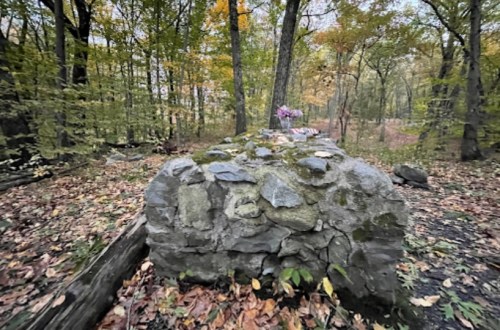 A large stone in a forest, surrounded by autumn foliage, with flowers placed on top.