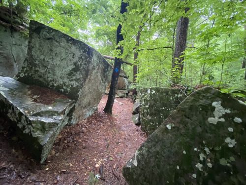 A narrow path through a forest with large, moss-covered boulders and lush green trees surrounding the area.