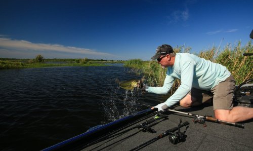 A person in a light blue shirt catches a fish while fishing from a boat on a calm lake surrounded by greenery.