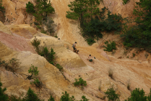 Two people and a dog navigate a colorful, rocky landscape with sparse greenery.