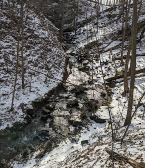 A serene winter scene of a creek flowing through a snowy forest, surrounded by trees and rocky banks.