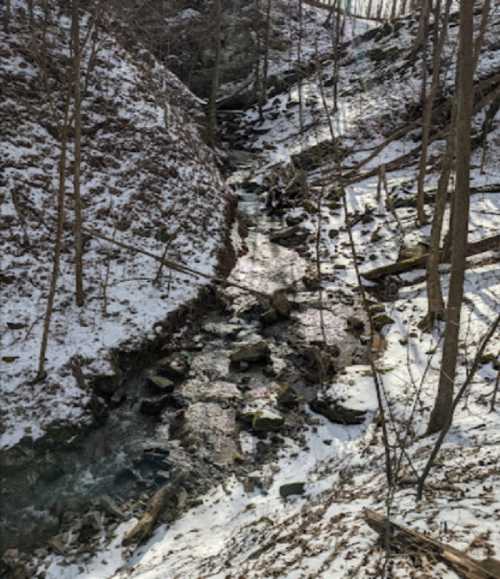 A serene winter scene of a creek flowing through a snowy forest, surrounded by trees and rocky banks.