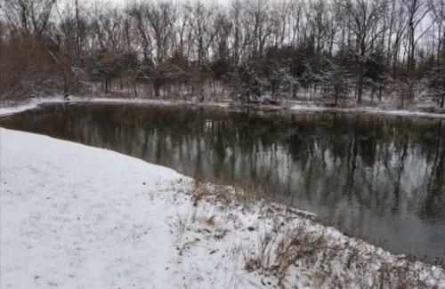 A snowy landscape by a calm pond, surrounded by trees, reflecting the winter scenery.