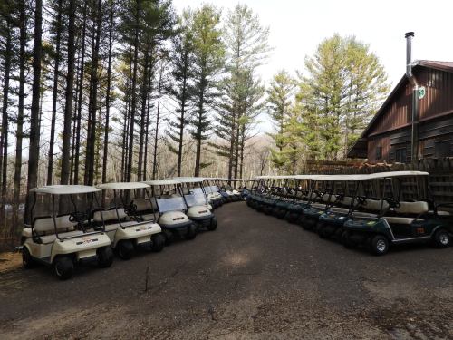A row of golf carts parked in a wooded area near a cabin, surrounded by tall pine trees.