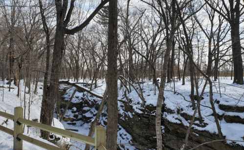 A snowy landscape with bare trees and a small creek, bordered by a wooden fence under a clear sky.