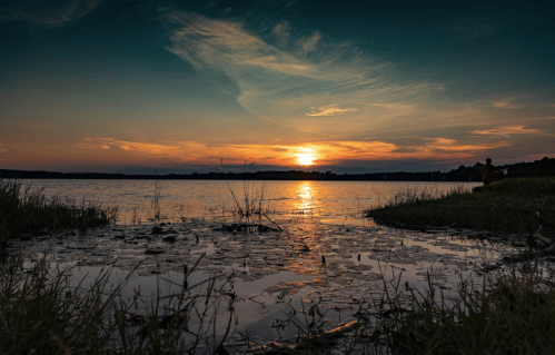 A serene sunset over a calm lake, with silhouettes of grass and a person in the distance.