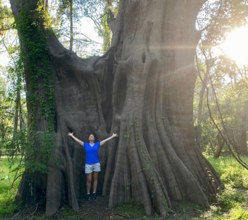 A person stands with arms outstretched beside a large, ancient tree in a sunlit forest.