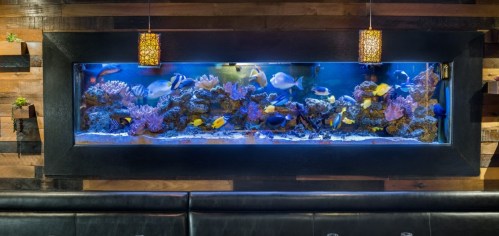 A large aquarium filled with colorful fish and coral, set against a wooden wall with pendant lights above.