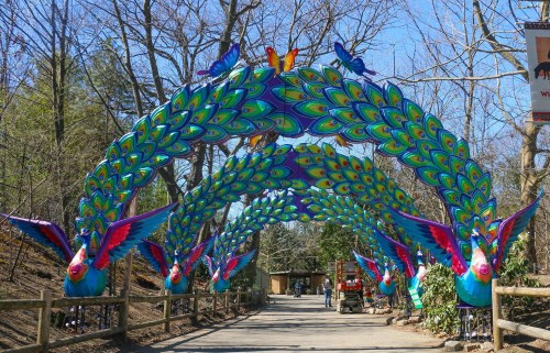Colorful peacock archway with vibrant feathers and butterflies, leading into a wooded area.