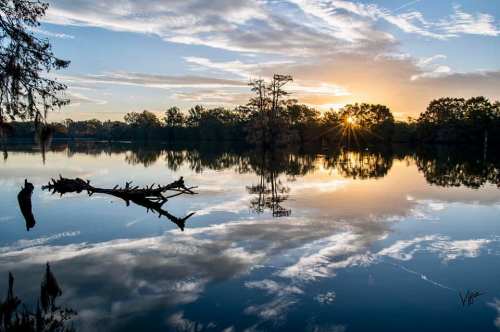 A serene lake at sunrise, reflecting clouds and trees, with a sunburst peeking through the horizon.