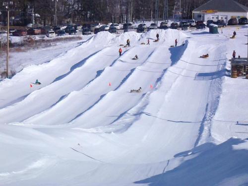A snowy hill with people sledding down, surrounded by trees and parked cars in the background.