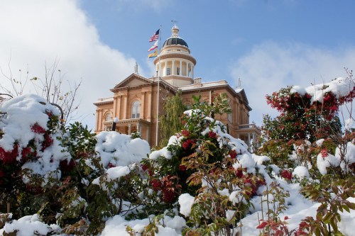 A historic building with a dome, surrounded by snow-covered plants and a clear blue sky.