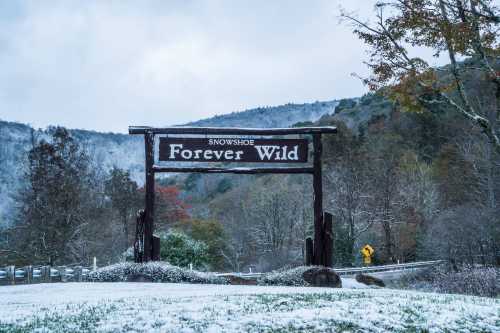 A wooden sign reading "Forever Wild" in a snowy landscape, surrounded by trees and mountains.