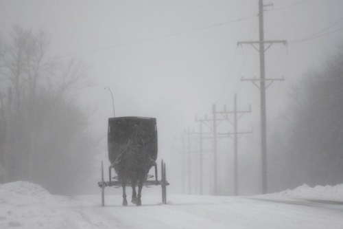A horse-drawn carriage travels down a snowy road in a blizzard, with power lines visible in the background.