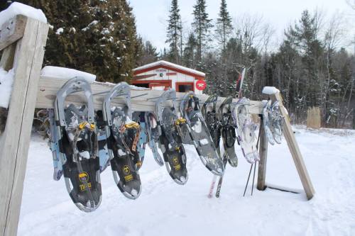 A row of snowshoes hanging on a wooden rack in a snowy landscape, with trees and a cabin in the background.