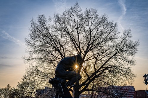 A silhouette of a statue sits beneath a bare tree, with the sun shining through its branches at sunset.