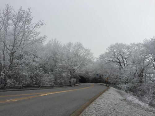 A winding road surrounded by trees covered in frost, creating a serene winter landscape.
