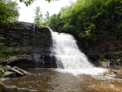 A cascading waterfall flows over rocky cliffs into a serene pool, surrounded by lush green trees.