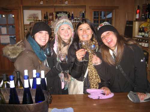 Four friends smiling and holding wine glasses at a cozy bar, surrounded by bottles and a warm atmosphere.