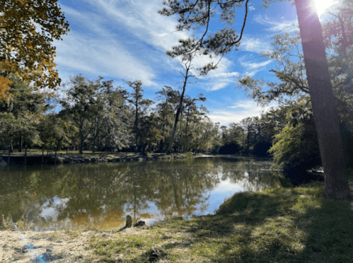 A serene landscape featuring a calm pond surrounded by trees under a clear blue sky. Sunlight reflects on the water.