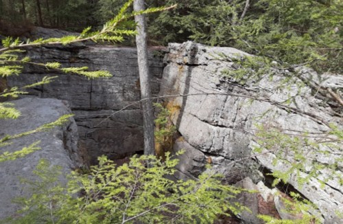 A rocky landscape with large boulders and trees, surrounded by greenery in a forested area.