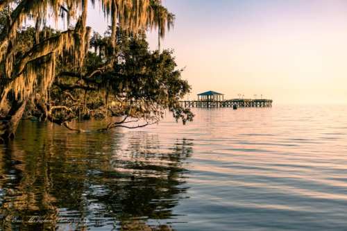 A serene waterfront scene with a wooden pier, moss-covered trees, and calm water reflecting the soft light.