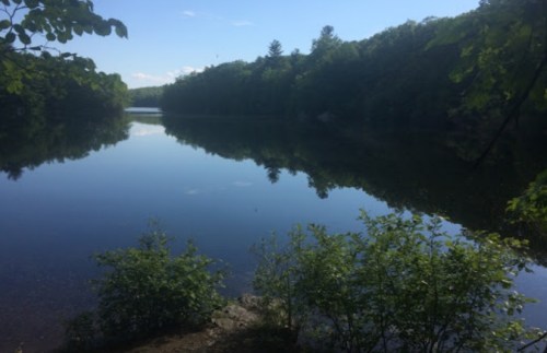 A serene lake surrounded by lush greenery and trees, reflecting the blue sky and clouds above.
