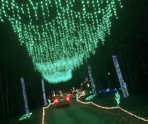 A car drives through a forest illuminated by vibrant green and colorful holiday lights hanging above.