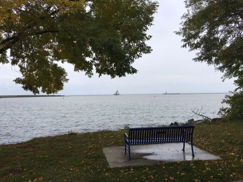 A blue bench overlooks a calm lake with a distant boat, framed by trees and a cloudy sky.