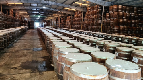 A spacious warehouse filled with rows of wooden barrels stacked neatly along the walls.