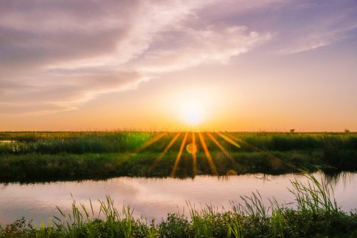 Sunset over a tranquil wetland, with vibrant rays shining through clouds and reflecting on a calm water surface.