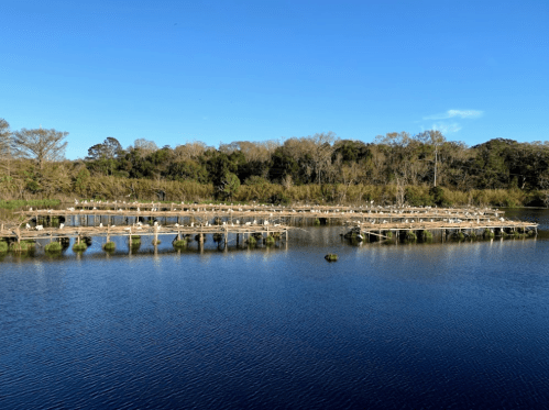 A serene view of a calm lake with wooden docks and lush greenery under a clear blue sky.