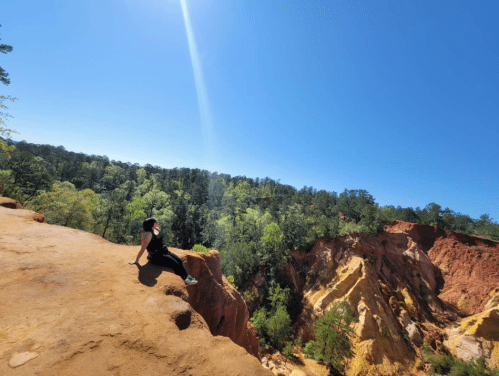A person sits on a rocky ledge overlooking a colorful canyon surrounded by lush green trees under a clear blue sky.
