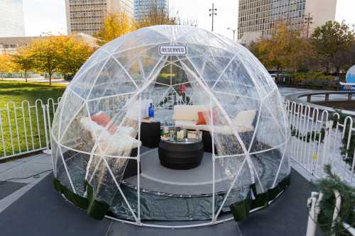 A clear plastic igloo structure with cozy seating and decor, set in a park with autumn trees and city buildings in the background.