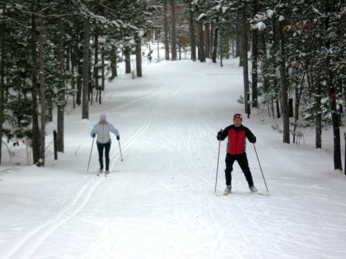 Two people cross-country skiing on a snowy trail surrounded by trees.