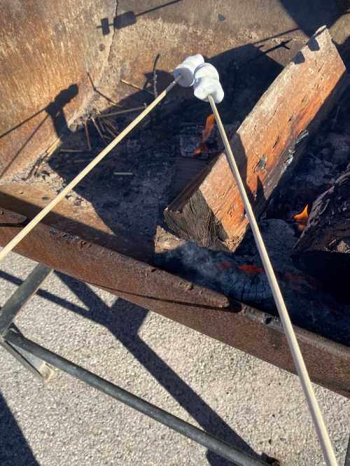 Two marshmallows on skewers are being roasted over an open fire in a grill with burning logs.