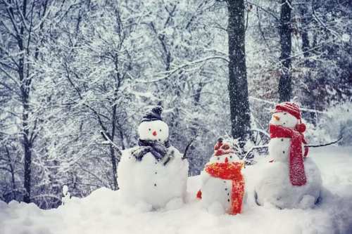 Three cheerful snowmen wearing hats and scarves stand in a snowy forest, surrounded by falling snowflakes.
