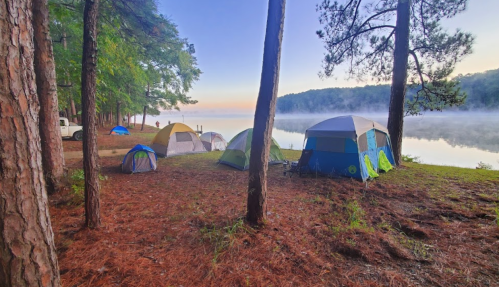 A serene lakeside campsite with several colorful tents surrounded by trees and morning mist over the water.