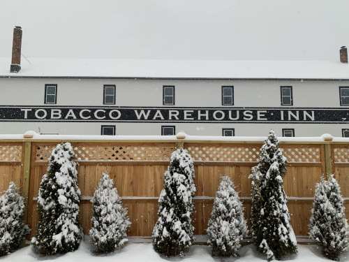 Snow-covered trees in front of the Tobacco Warehouse Inn, with a snowy backdrop and a cloudy sky.