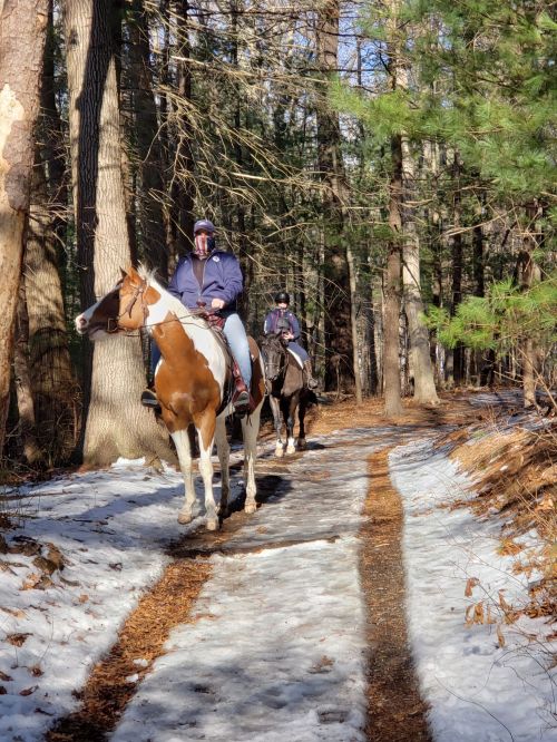 Two riders on horseback navigate a snowy forest trail surrounded by tall trees.